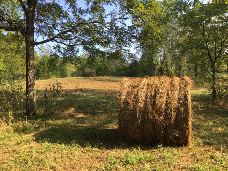 haybale